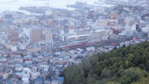 高台から見た小樽の街並み