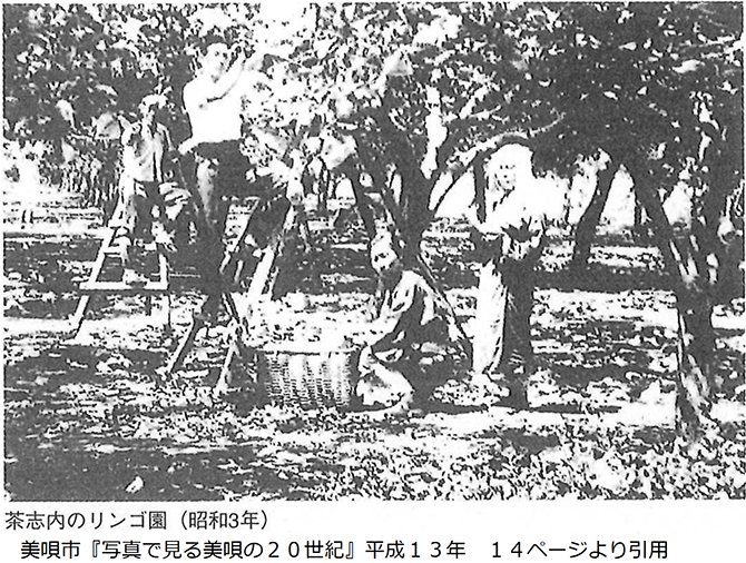 昭和３年の茶志内のリンゴ園