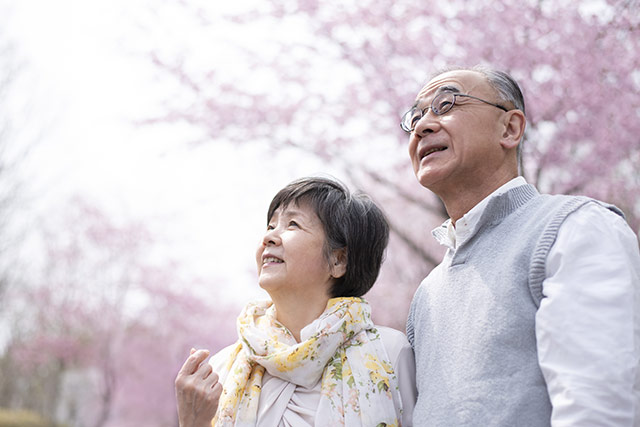 桜を見つめるシニア夫婦