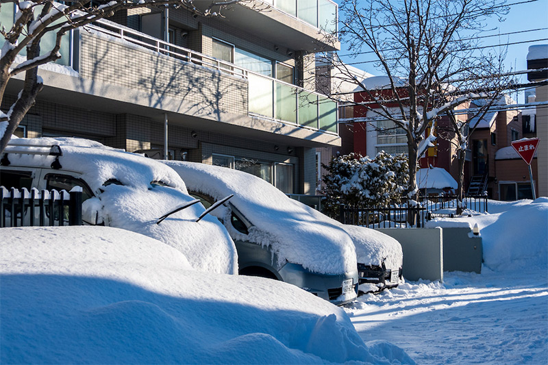 雪が積もる